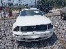 1ZVFT82H565****** Usados 2006 Ford Mustang en Estado de Carolina del Norte
