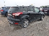 1FMCU0JXXFU****** Salvamento y Destrozados 2015 Ford Escape en Estado de Wisconsin