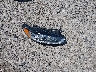 3FA6P0HDXGR****** Wrecked 2016 Ford Fusion in Ohio State