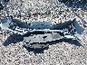 5FNRL6H7XJB****** Destrozados 2018 Honda Odyssey en Estado de Nueva York