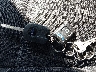 1FADP3K24JL****** Salvamento 2018 Ford Focus en Estado de Illinois