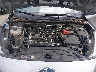 1FMCU0F69MU****** Repairable 2021 Ford Escape in Lexington