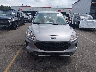 1FMCU0F69MU****** Used 2021 Ford Escape in South Carolina State
