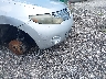 JN8AZ18W89W****** Used 2009 Nissan Murano in Florida State