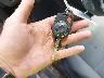1FMCU0GX8EU****** Salvamento 2014 Ford Escape en Estado de Maryland