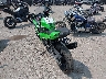 ML5EXGJ17TD****** Salvage and Repairable 2026 Kawasaki Ninja 500 in Rec Rides Online Exclusive