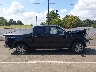 1FTFW1EF7EF****** Repairable 2014 Ford F-150 in Mississippi State