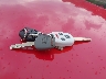 2HGFG3B08CH****** Salvamento 2012 Honda Civic en Estado de Illinois