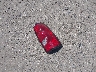 2GCEC19V6Y1****** Wrecked 2000 Chevrolet Silverado 1500 in California State