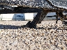 4YMBU1011NT****** Salvamento 2022 Carry-On Trailer Carry-On Trailer