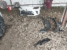 JTJCHMAA0R2****** Wrecked 2024 Lexus RX 350 in Georgia State