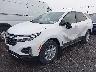 3GNAXUEG4RL****** Usados y Reparables 2024 Chevrolet Equinox en Buffalo
