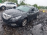 5NPEC4AC1BH****** Usados y Reparables 2011 Hyundai Sonata en Long Island