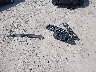 5XYZG3AB4CG****** Wrecked 2012 Hyundai Santa Fe in Ohio State
