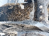 1FTEW1E54JF****** Repairable 2018 Ford F-150