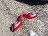 1HGCT1B37FA****** Wrecked 2015 Honda Accord in Maryland State
