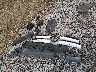WDDGJ4HB3CF****** Wrecked 2012 Mercedes-Benz C-Class in South Carolina State