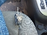 1G1PC5SB8F7****** Salvamento 2015 Chevrolet Cruze en Estado de Ohio