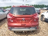 1FMCU9G97EU****** Destrozados 2014 Ford Escape