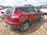 1FMCU9G97EU****** Salvamento y Destrozados 2014 Ford Escape en Estado de Carolina del Norte