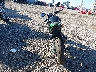 JKAERKD17ND****** Salvage and Repairable 2022 Kawasaki Z400 in Indiana State