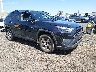 2T3P1RFV6PW****** Salvage and Wrecked 2023 Toyota RAV4 in Avenel New Jersey