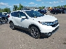 7FARW2H83KE****** Salvage and Wrecked 2019 Honda CR-V in Cleveland