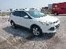 1FMCU9G90DU****** Salvamento y Destrozados 2013 Ford Escape en Omaha South
