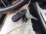 JF1GE60689H****** Salvage 2009 Subaru Impreza in Massachusetts State