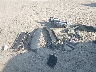4JGFB4KB2NA****** Wrecked 2022 Mercedes-Benz GLE-Class in Texas State
