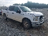 1FTEW1C89HK****** Salvamento y Destrozados 2017 Ford F-150 en Tifton