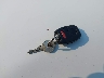 2HJYK16556H****** Salvage 2006 Honda Ridgeline in Washington State
