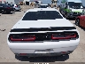 2C3CDZBT7KH****** Destrozados 2019 Dodge Challenger