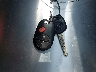 5TFUW5F17FX****** Salvamento 2015 Toyota Tundra en Estado de Texas