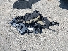 JTEHD20V440****** Destrozados 2004 Toyota RAV4 en Estado de Connecticut