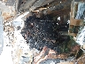 5XYPG4A31JG****** Repairable 2018 Kia Sorento in Lexington