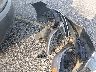 5NPEC4AC1DH****** Destrozados 2013 Hyundai Sonata en Estado de Carolina del Sur