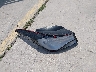 5NPDH4AE4FH****** Wrecked 2015 Hyundai Elantra in Texas State