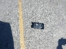 5YJ3E1EA1LF****** Destrozados 2020 Tesla Model 3 en Estado de California