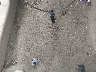 1N4AL3AP7DN****** Salvage 2013 Nissan Altima in Georgia State