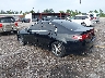 JH4CU2F80DC****** Salvamento y Reparables 2013 Acura TSX en West Palm Beach