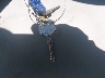 JALC4W164G7****** Repairable 2016 Isuzu NPR in Fremont