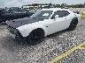 2C3CDZBT4KH****** Usados y Reparables 2019 Dodge Challenger en Miami North