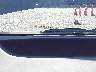 JTDKB20UX93****** Wrecked 2009 Toyota Prius