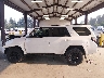 JTERU5JR7P6****** Salvage 2023 Toyota 4Runner