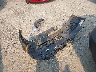 WAUDNAF41HN****** Destrozados 2017 Audi A4 en Estado de Washington