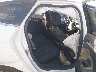 3FA6P0H77GR****** Destrozados 2016 Ford Fusion en Phoenix