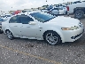 19UUA66218A****** Salvamento y Destrozados 2008 Acura TL en Houston