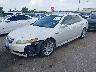 19UUA66218A****** Usados y Reparables 2008 Acura TL en Houston