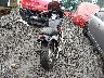 JKBVNCB11VA****** Salvamento y Reparables 1997 Kawasaki Vn800 en Estado de Virginia Occidental